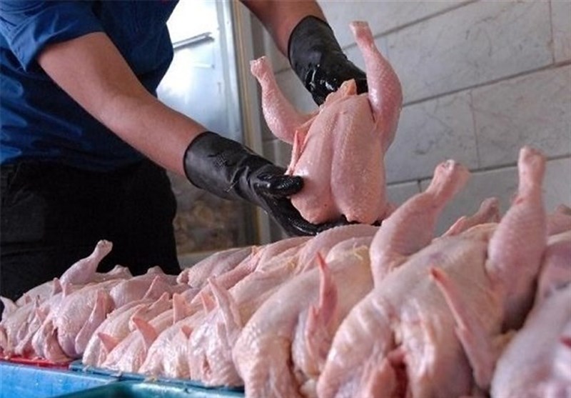 توزیع مرغ با نرخ دولتی در کاشان