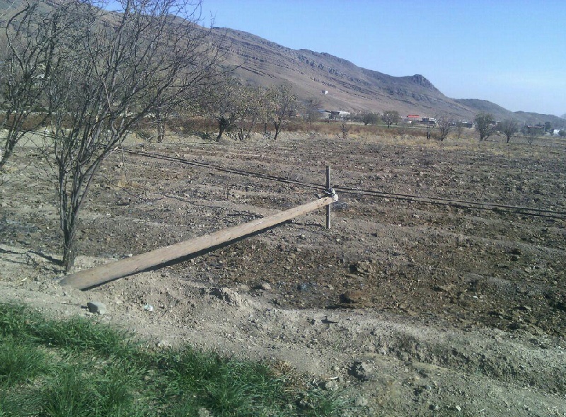 تیرک مخابرات در زمین‌های کشاورزی روستای علوی کاشان