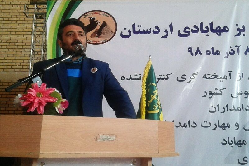 مهرداد مرادمند رئیس سازمان جهاد کشاورزی استان اصفهان در جشنواره بز مهابادی