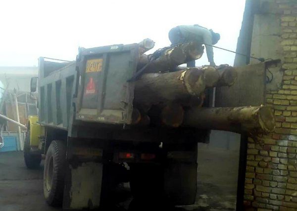 توقیف کامیون حامل درختان قطع شده در برزک کاشان